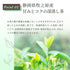 洋甘菊 x 綠茶茶包 2.5g x 35p